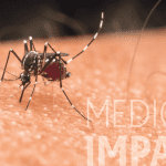Esto es lo que tienes que saber sobre el virus del dengue